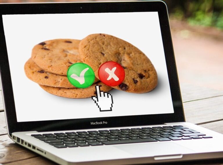 What Are Web Cookies and What Are They Used For?