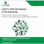 WEB DEVELOPER